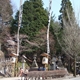 takayama-haru2013