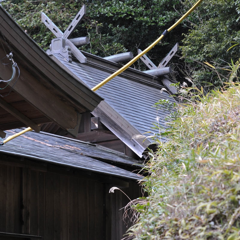 DSC_6982.jpg(602579 byte)