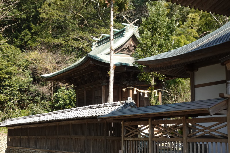 DSC00025.jpg(248881 byte)