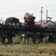 mori2010