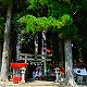 yamahigashi2008.jpg(8957 byte)